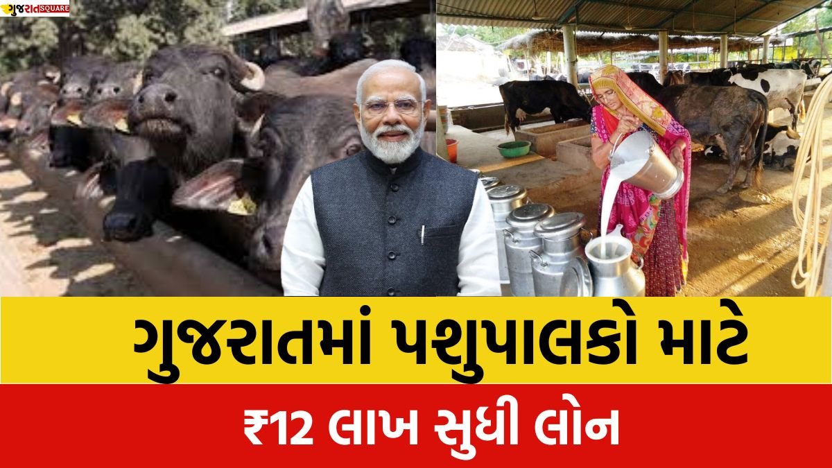 Pashupalan Loan Yojana 2026