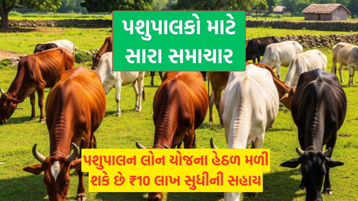 Pashupalan Loan Yojana 2026 Gujarat